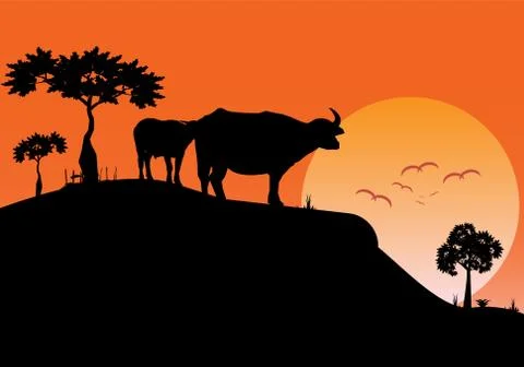 Landscape evening view of the field with on sundown background Stock Illustration
