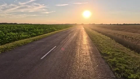 Landscape, evening view of the road and the side of the road, sun rays and glare Stock Footage 317582845