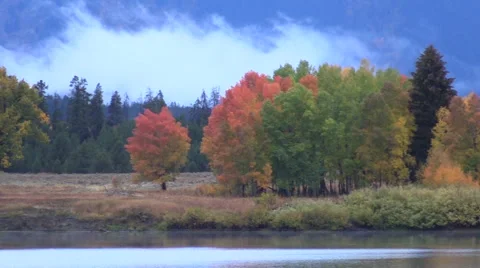 Landscape in Fall in Wyoming Vídeos de archivo 69038889