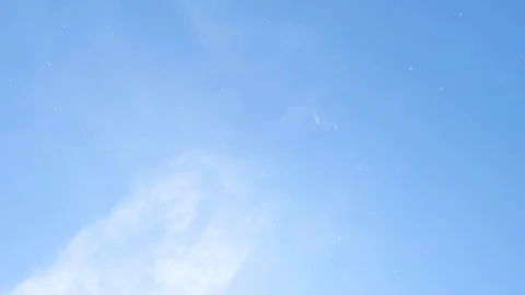 Landscape of the falling petals Stock-Footage 85884488