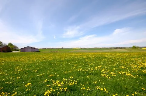 Landscape with farm in the background Stock Photos