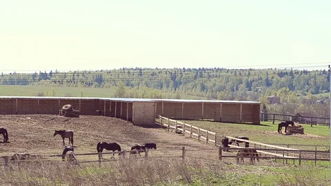 Landscape of a farm Stock Footage 89744660