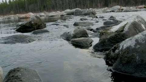 Landscape of a fast mountain river Video stock 141318062