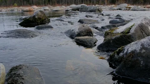 Landscape of a fast mountain river Video stock 141318216