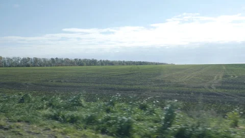 Landscape from a fast moving car. View from the car window to the fields on a 스톡 동영상 165955525