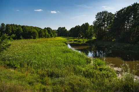 A landscape featuring a oxbow lake in the Bug River valley in Podlasie Stock Photos