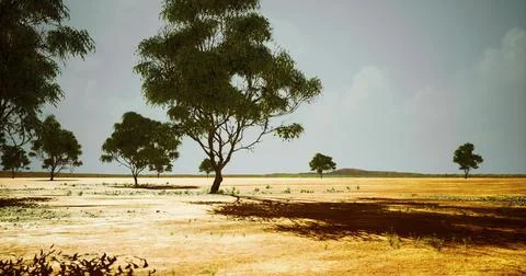 Landscape featuring sparse trees under cloudy sky during day 스톡 일러스트