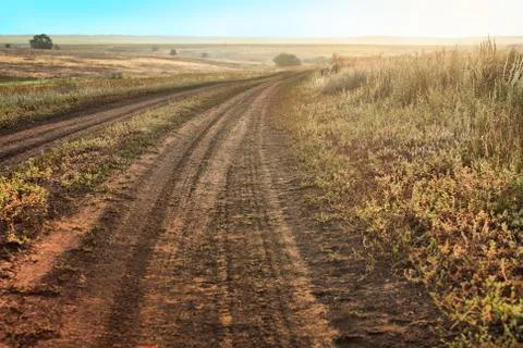 Landscape with field and footpath at sunset Stock Photos