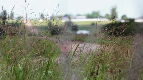 Landscape of Field Stock Footage 99941627