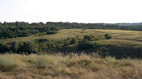 Landscape of a field, handheld panoramic Stock Footage 114600778