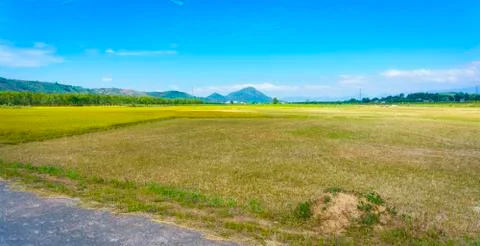 Landscape field Stock Photos