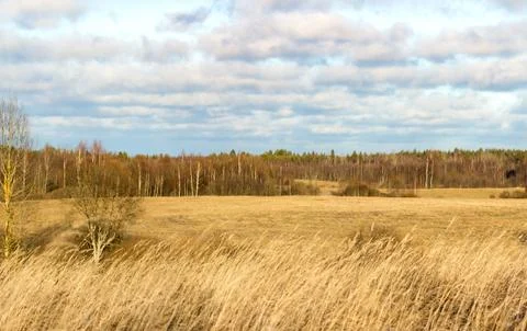 Landscape with field Stock Photos