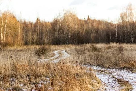 Landscape with field Stock Photos