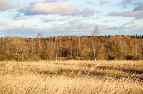 Landscape with field Stock Photos