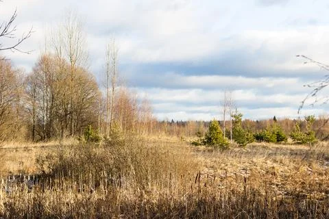Landscape with field Stock Photos