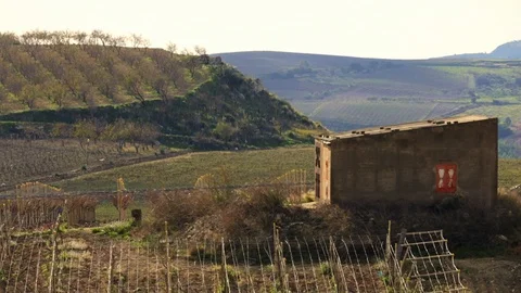 Landscape with fields agriculture Stock Footage 108634605