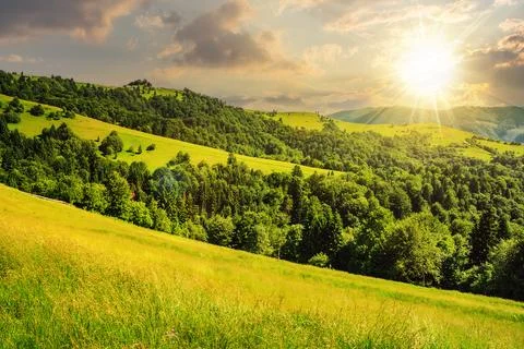 Landscape with fields and forest on hillside at sunset Stock Photos