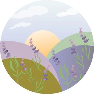 Landscape fields and levender.vector illustration of nature Stock Illustration