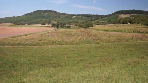 Landscape fields and meadows with vineyards in the background Stock Footage 115417430