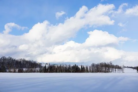 Landscape with fields covered in snow and wood Stock Photos