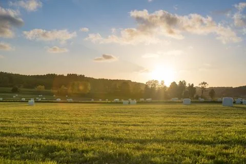 Landscape fields with drying crops on the countryside during sunset Stock Photos