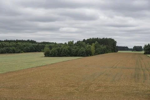 Landscape with fields during cloudy day in summer season Stock Photos