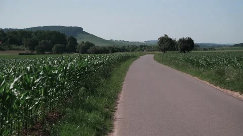 Landscape with fields of fruit trees meadows and wheat in sunshine Stock Footage 141467068
