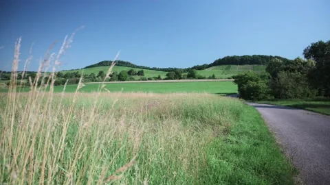 Landscape with fields of fruit trees meadows and wheat in sunshine Stock Footage 141470871