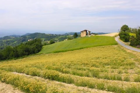 Landscape of fields in Italy Stock Photos