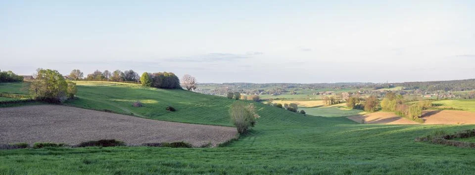 Landscape of fields, meadows and forest near maastricht  in dutch province .. Stock Photos