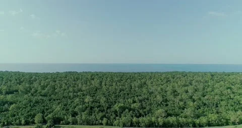 The landscape filled with green trees overlooking  blue ocean Stock Footage 165661562