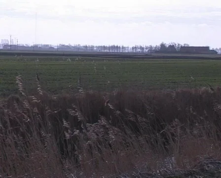 Landscape flanders Stock Footage 378522