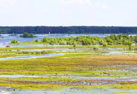 Landscape of flooded meadows Stock Photos