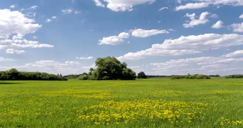 Landscape floodplain meadows and moving clouds in blue sky, timelapse. Stock Footage 133230483