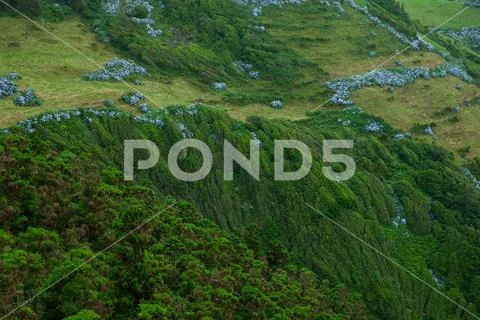Landscape at Flores Island, Azores Stock Photos