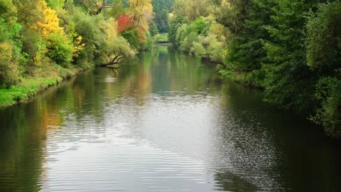 Landscape of flowing river surrounded by green, yellow and orange trees Stock Footage 165040903