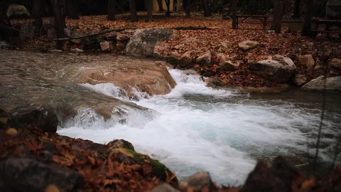 Landscape with flowing water of cascade waterfall at deep tropical rain forest. Stock Footage 101244599