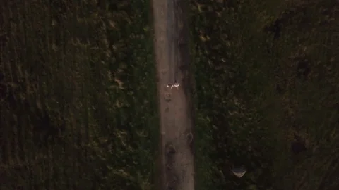 Landscape fly over, lovers walking Stock Footage 82352089