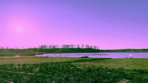 Landscape with flying Ducks Stock-Footage 183386806