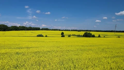 Landscape flying over the field Stock-Footage 157801008