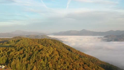 Landscape in fog Stock Footage 229177354