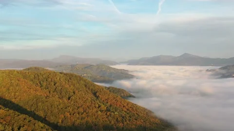 Landscape in fog Stock Footage 229177465