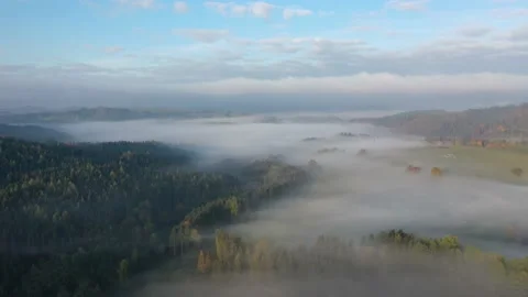 Landscape in fog Stock Footage 229499870