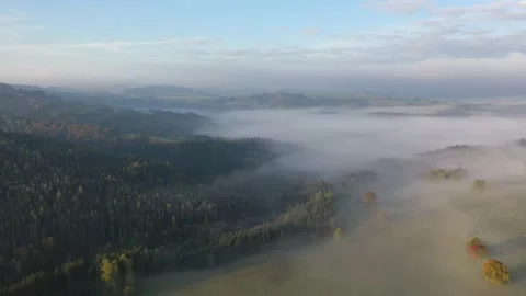 Landscape in fog Stock Footage 229499985