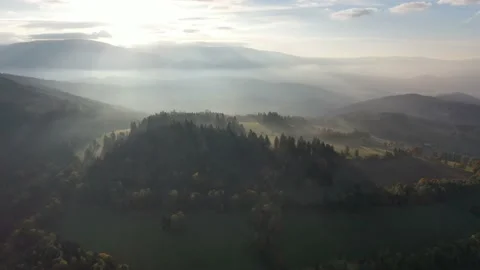Landscape in fog Stock Footage 229500332