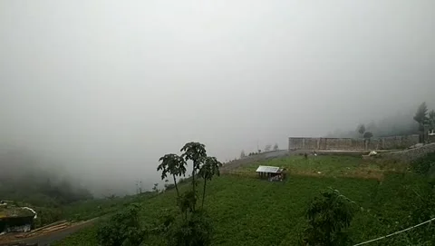 Landscape with fog Stock Footage 232192049