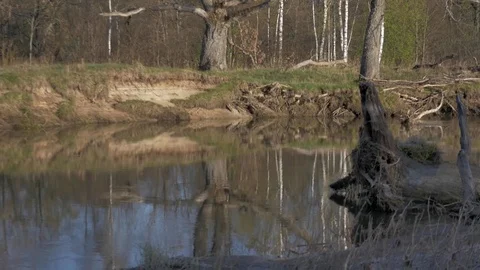 Landscape with fog on the river Видео 77678555