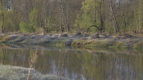 Landscape with fog on the river Stock Footage 77678623