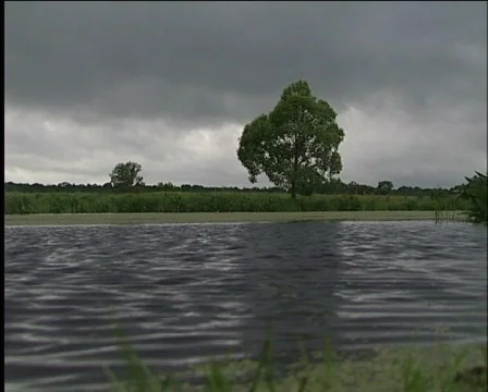 Landscape Видео 573304