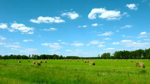 Landscape Video stock 752916